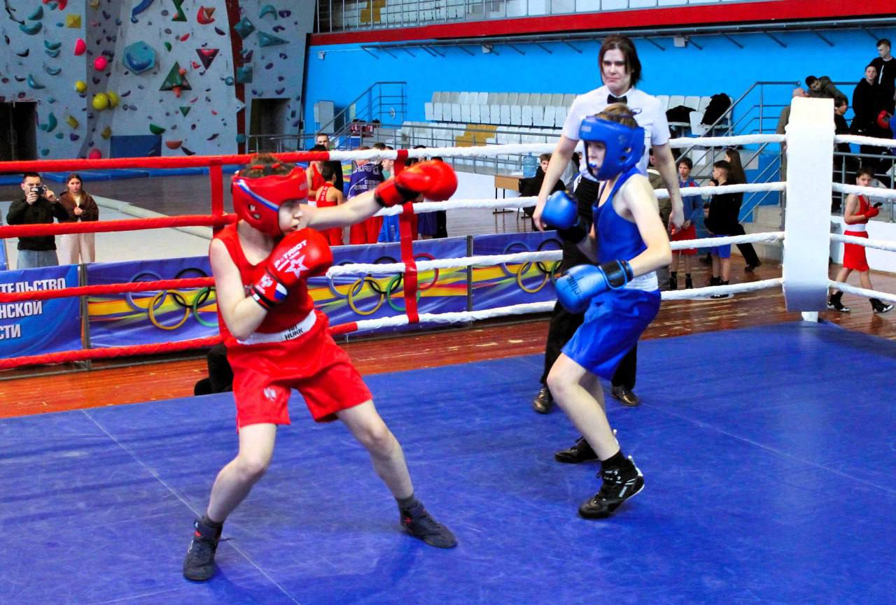 Photo 2026 01 28 16 37 25 24 Января Во Дворце Единоборств «Воейков» Состоялось Первенство Области По Боксу Среди Юношей, Посвященное Памяти Евгения Дуничева - Участника Специальной Военной Операции, Воспитанника Пензенского Бокса.